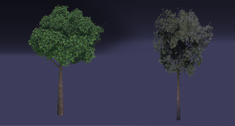 WhiteHouse Assets2